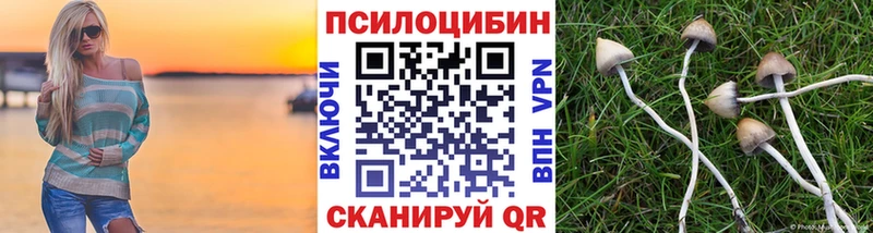 Галлюциногенные грибы Psilocybe  Заозёрный 