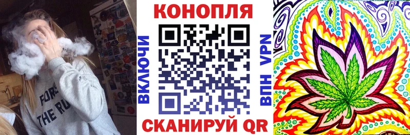 Каннабис сатива  Заозёрный 